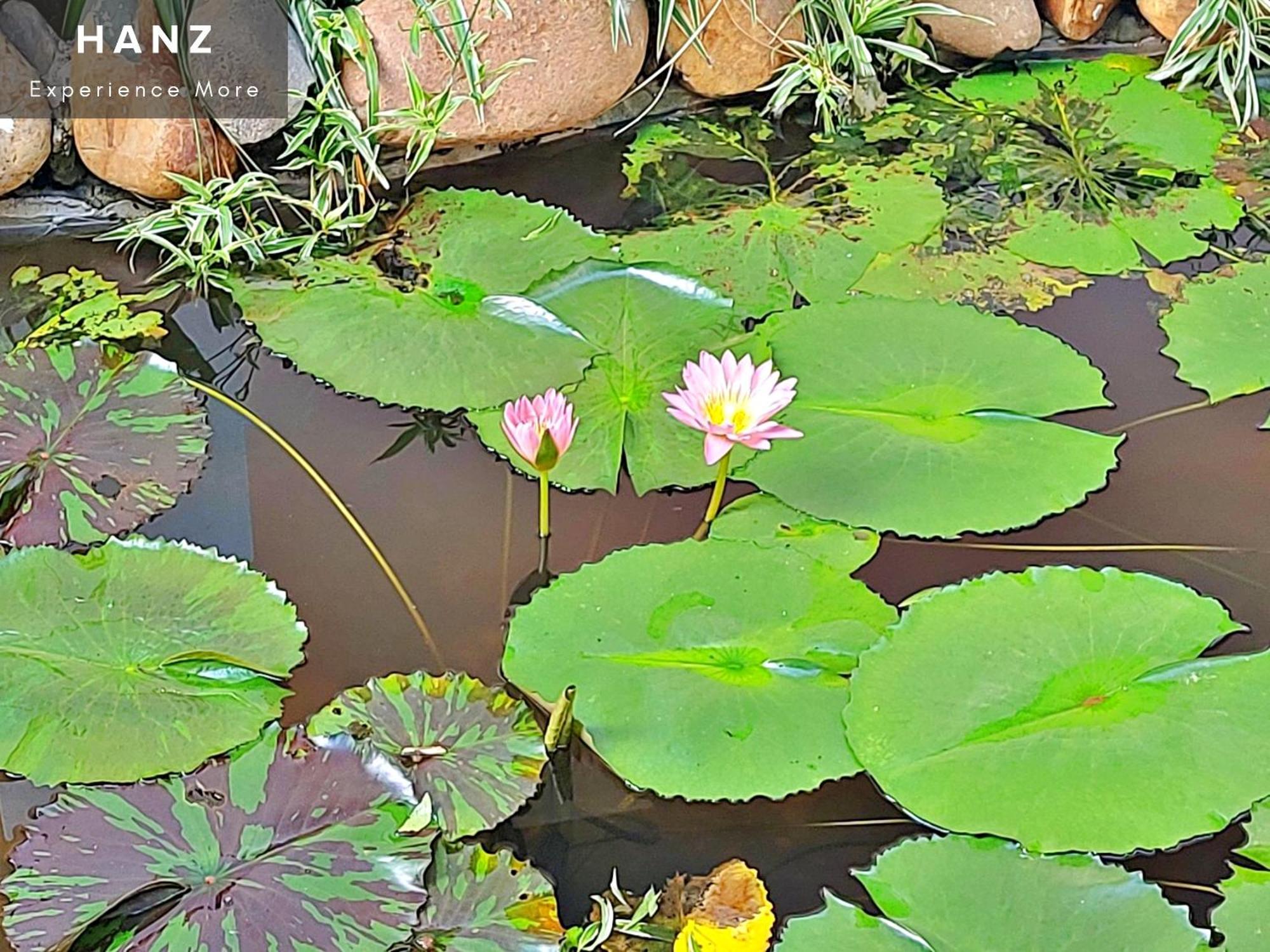 Sunrise Luang Prabang Ξενοδοχείο Εξωτερικό φωτογραφία
